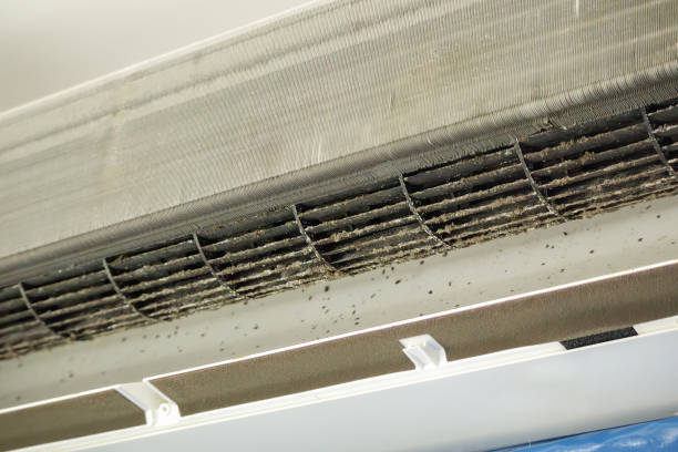 Best Best Air Duct Cleaning Company  in Sistersville, WV